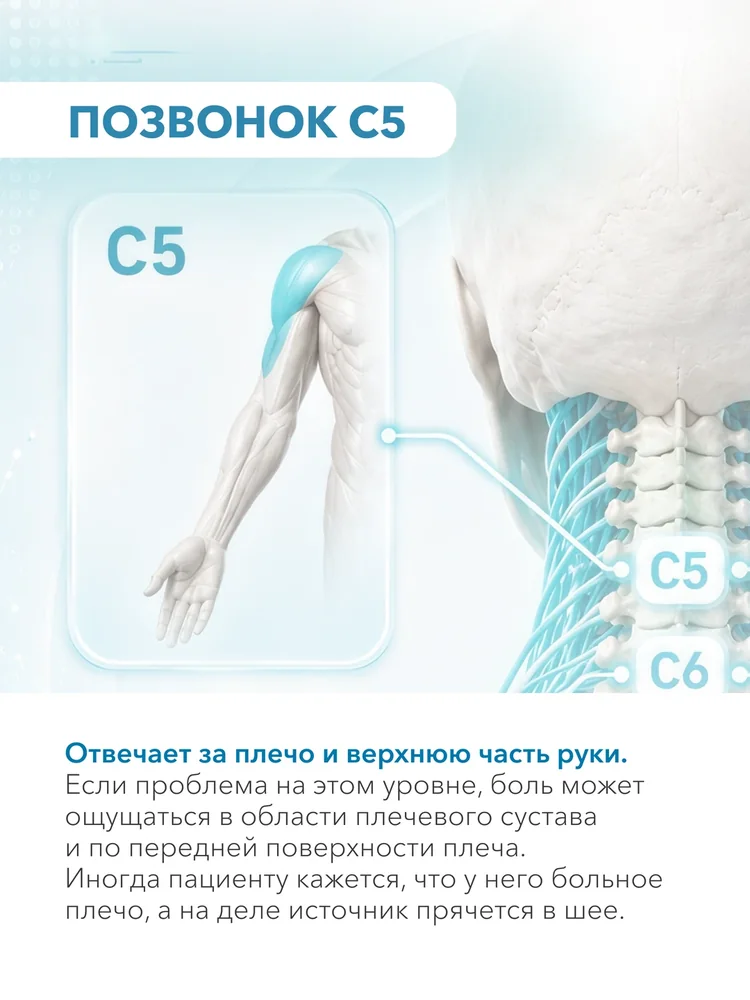 От плеча до мизинца — 5