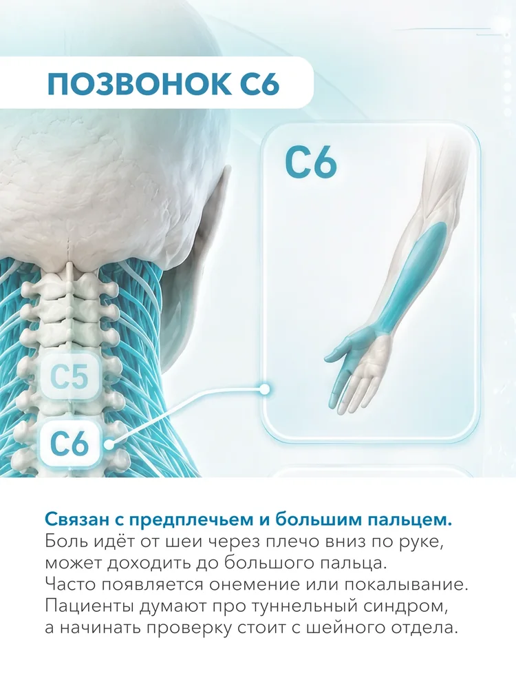 От плеча до мизинца — 6