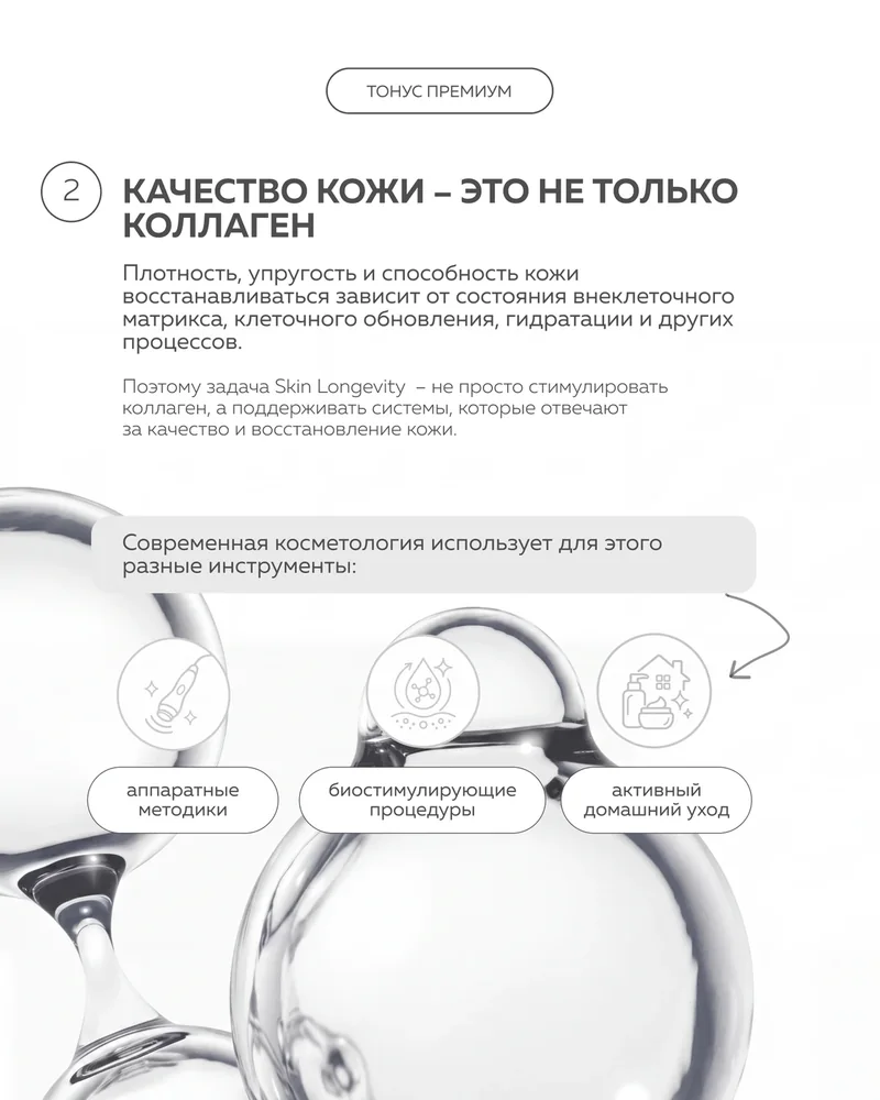 Skin Longevity — 3